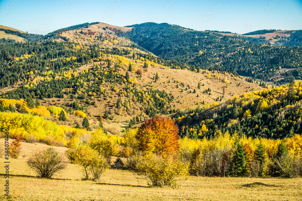 Colorful autumn mountains