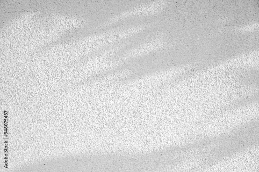 shadow of leaf tree on white texture wall - black and white gray background shadow of leaf tree on white texture wall - black and white gray background