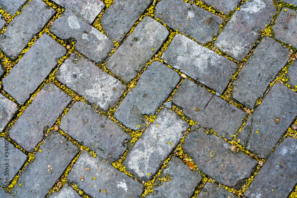 Obraz premium Sidewalk Bricks Garden District New Orleans Louisiana
