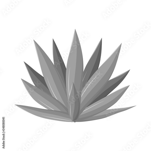 Isolated object of agave and tequila logo. Web element of agave and blue stock symbol for web.