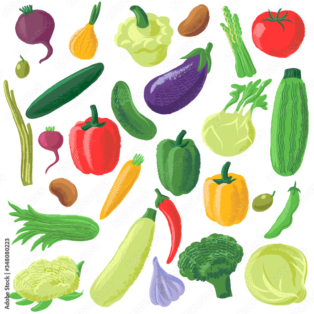 vector drawing vegetables vector drawing vegetables