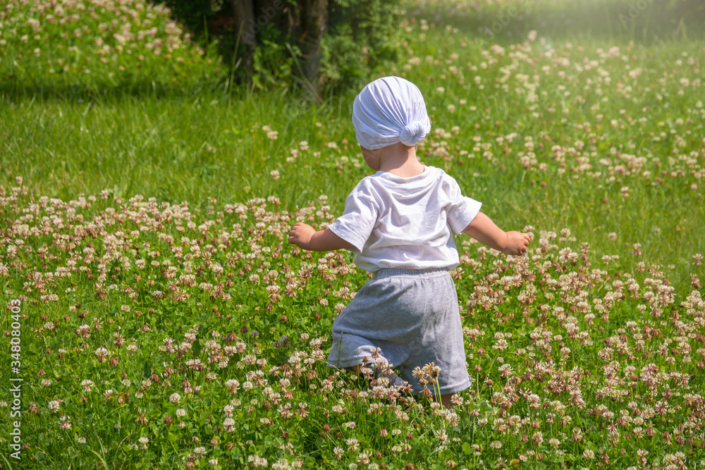 Little boy walks on a green flowering lawn, rear view. Little boy walks on a green flowering lawn, rear view.