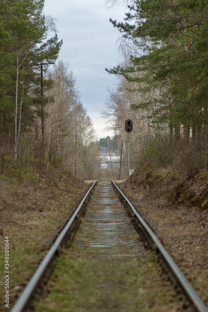 Railway passing between trees in forest. Railway passing between trees in forest.