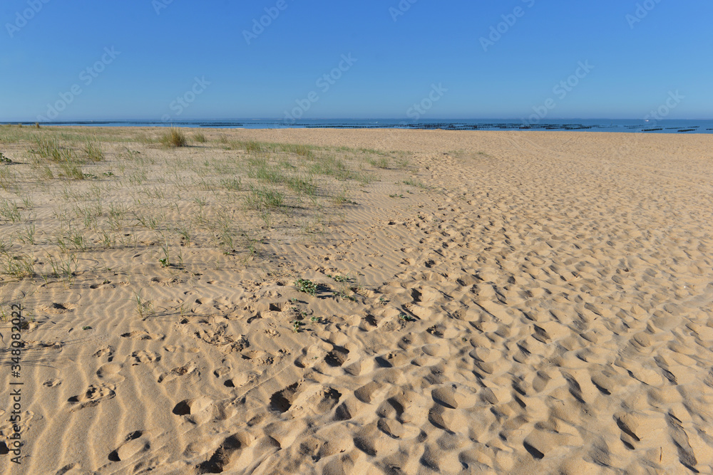 view on sandy beach of Atlantic Ocean in France under bleu sky view on sandy beach of Atlantic Ocean in France under bleu sky