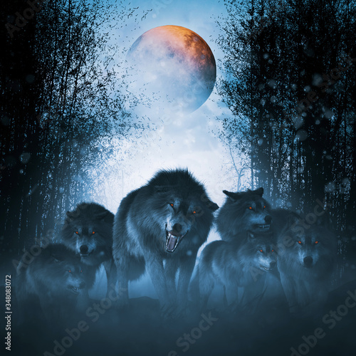 Fototapeta The pack of red moon,Group of ferocious wolf in the forest,3d illustration