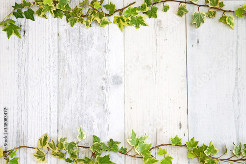 イングリッシュ・アイビーの葉飾りのある白ペンキのシャビーなボード 背景素材 © michikodesign