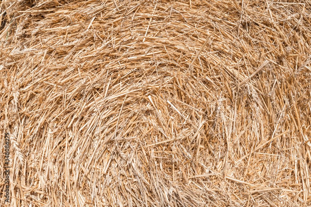 Hay background. Harvesting in agriculture. Hay background. Harvesting in agriculture.