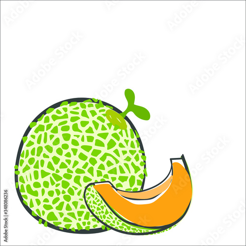 illustration of a melon