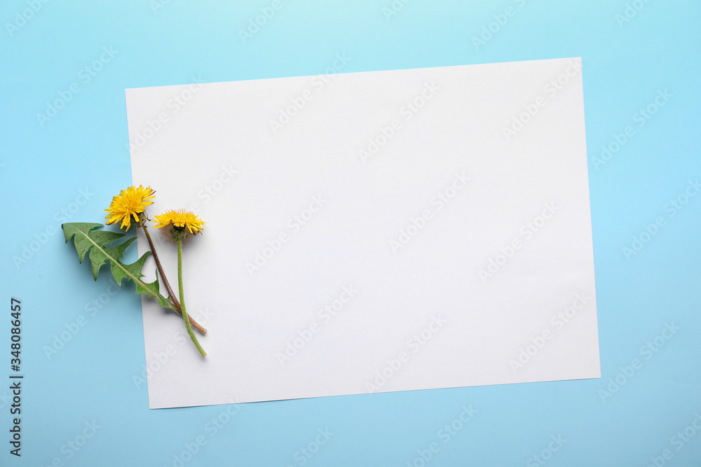 Fresh dandelions and paper sheet on color background Fresh dandelions and paper sheet on color background
