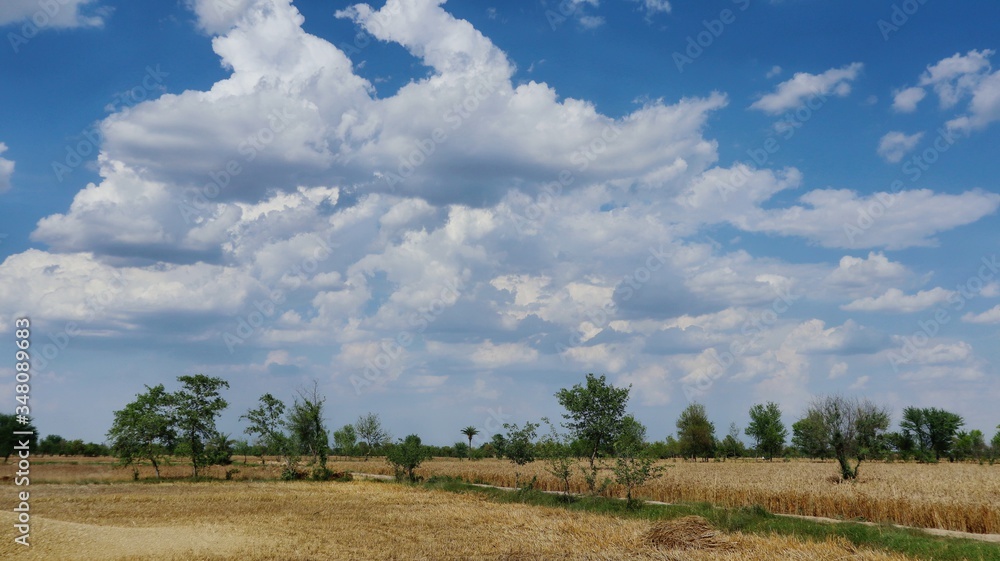 landscape with clouds