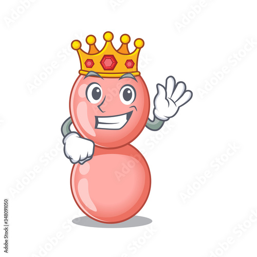 A Wise King of neisseria gonorrhoeae mascot design style
