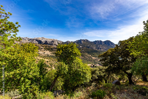 Mediterranean landscape in the Sierra de Grazalema, Andalusia, Spain.