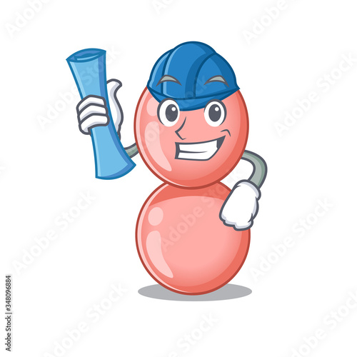 Cartoon character of neisseria gonorrhoeae brainy Architect with blue prints and blue helmet