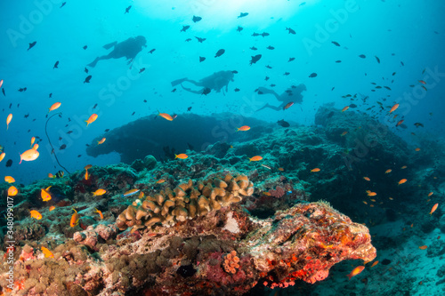 Colorful underwater scene of fish and coral with scuba divers swimming in the background © Aaron