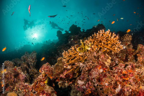 Fototapeta Naklejka Na Ścianę i Meble -  Colorful underwater scene of fish and coral with scuba divers swimming in the background