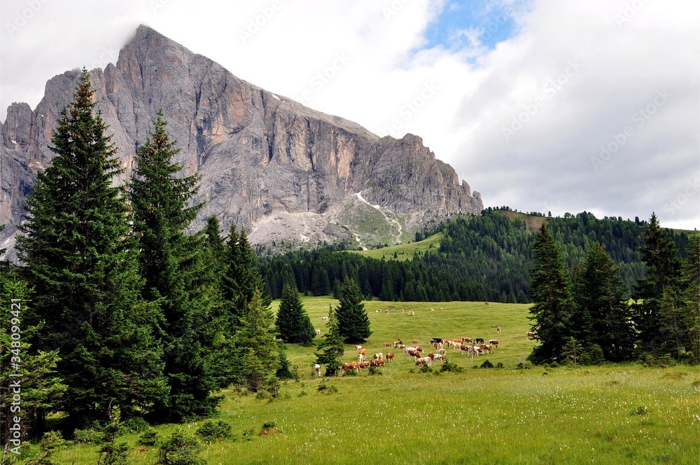 Unterwegs am Langkofel