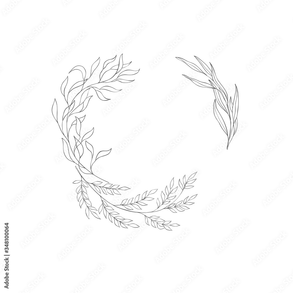 Floral botanical frame and monogram. Floral botanical frame and monogram.