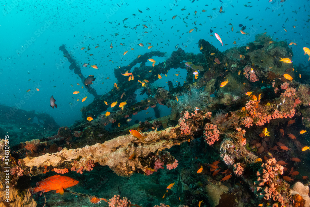Fototapeta premium Underwater ship wreck surrounded with small colorful fish