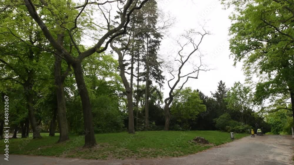 Fresh green spring impressions from Victoria Park (Viktoriapark) in Berlin Kreuzberg from May 7, 2020, Germany Fresh green spring impressions from Victoria Park (Viktoriapark) in Berlin Kreuzberg from May 7, 2020, Germany