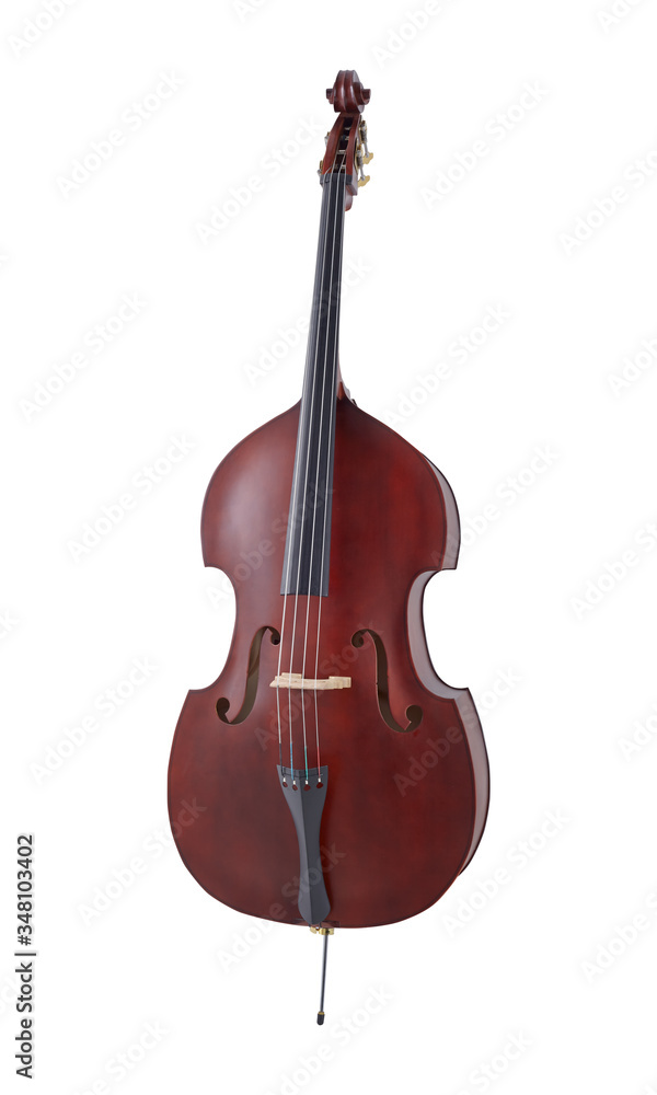 Double Bass, Strings Music Instrument Isolated on White background Double Bass, Strings Music Instrument Isolated on White background