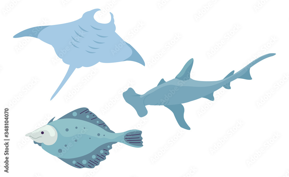 Obraz premium Collection of various fishes under the sea. Templates for landing pages, websites and many more