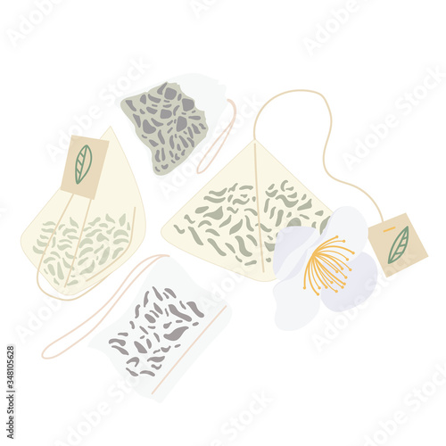 A hand-drawn set of green tea bags. The flower of the Chinese Camellia sinensis. Vector illustration on an isolated white background. Transparent element.