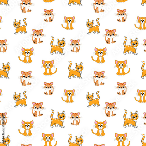 Fototapeta Naklejka Na Ścianę i Meble -  cat pattern