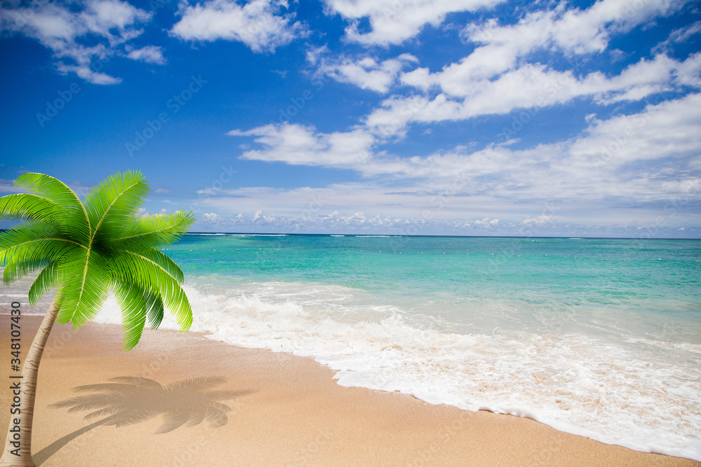 Beach with beautiful white sand and coco palms travel tourism wide panorama background concept