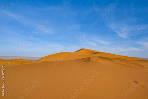 Dunes of Sahara Desert at sunset. Wild nature background.