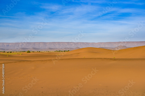 Dunes of Sahara Desert at sunset. Wild nature background.