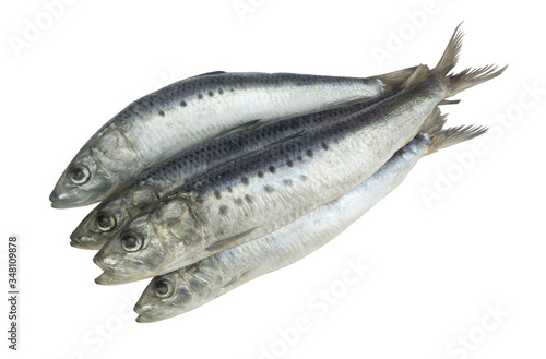 Several sardine fishes isolated on white background