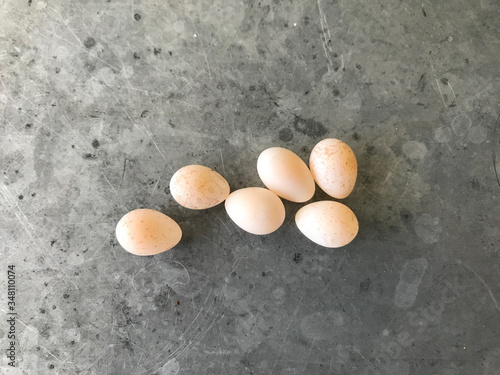 six little eggs of a great tit on a zinc table