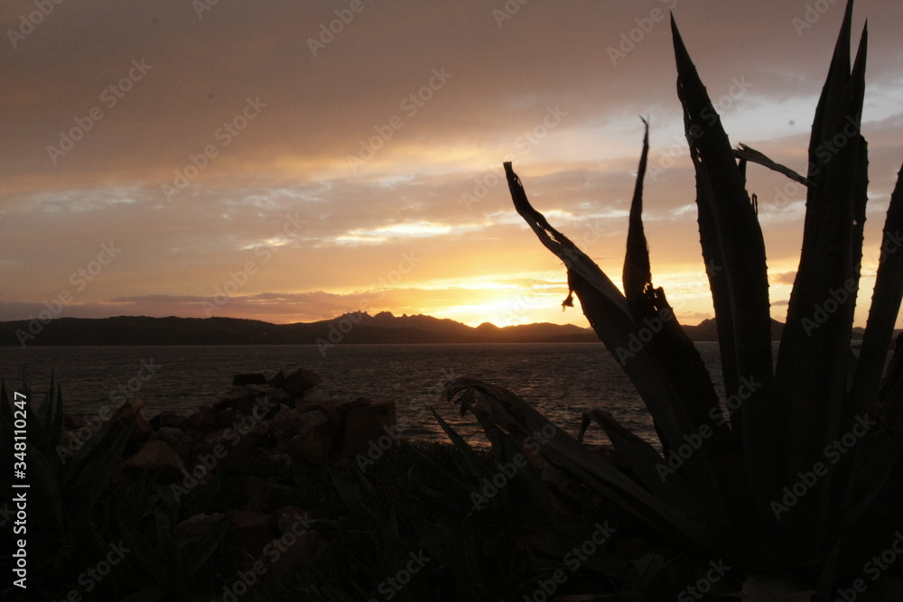 Dark sunrise with high contrast and cloudy sky in Sardinia, Caprera island, Mediterranean vegetation, background with copy space