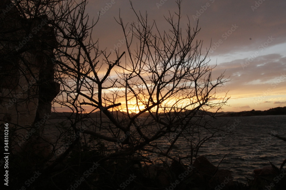 Dark sunrise with high contrast and cloudy sky in Sardinia, Caprera island, Mediterranean vegetation, background with copy space