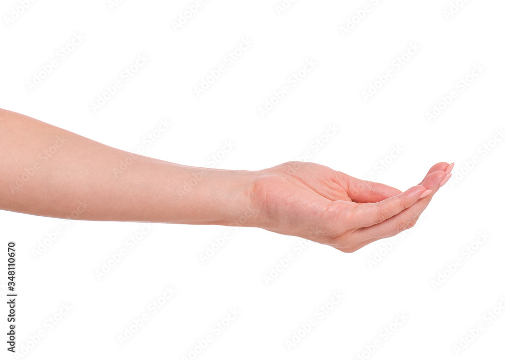 Female empty hand holding something - palm up, isolated on white background. Beautiful hand of woman with copy space. Female empty hand holding something - palm up, isolated on white background. Beautiful hand of woman with copy space.