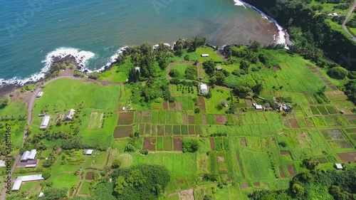 Keanae Peninsula Agriculture Maui Hawaii Drone Video