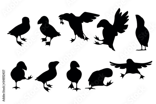 Black silhouette set of atlantic puffin bird in different poses cartoon animal design flat vector illustration isolated on white background