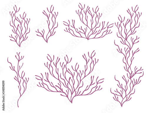 Set of purple coral seaweeds silhouettes flat vector illustration isolated on white background