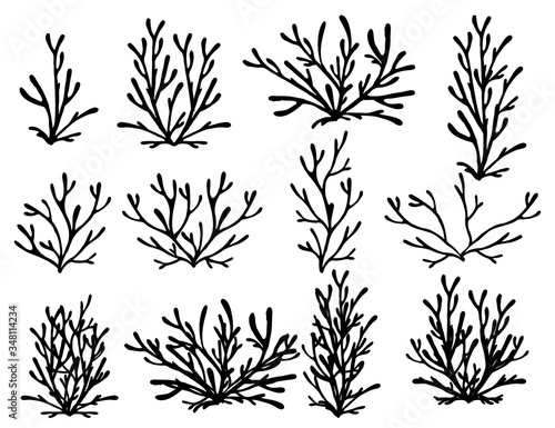 Set of black coral seaweeds silhouettes flat vector illustration isolated on white background