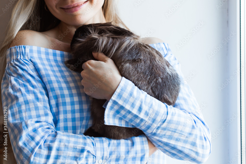 Pet and Easter concept - Attractive girl hugging brown rabbit at home, close-up. Pet and Easter concept - Attractive girl hugging brown rabbit at home, close-up.