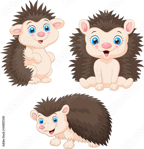 Collection of baby hedgehog cartoon sets
