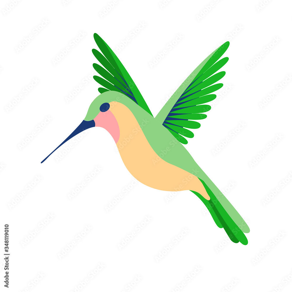 Cute cartoon hummingbird. Vector illustration isolated on a white  background. Stock Vector | Adobe Stock