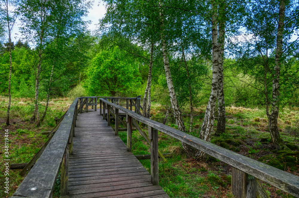 Moorlandschaft in der Ohligser Heide bei Solingen Moorlandschaft in der Ohligser Heide bei Solingen