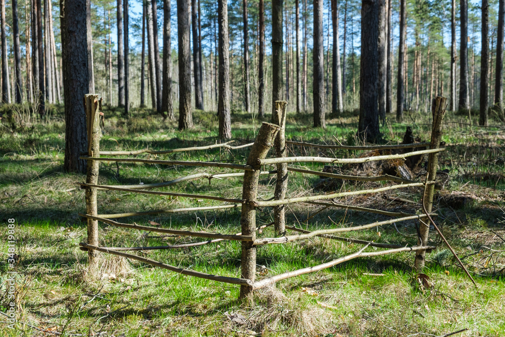 green landscape fence wooden empty corral nature green forest summer green landscape fence wooden empty corral nature green forest summer