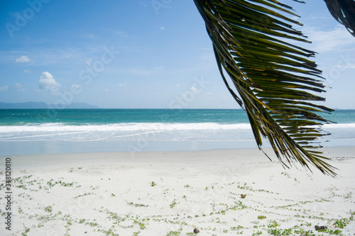 Palm leaf on the background of azure water and white sand at Doc Let Beach in Vietnam. Tropical nature on a sunny day