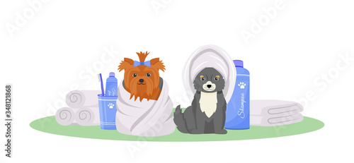 Washed dogs flat color vector character. Grooming premium salon. Pet beauty and hairdressing treatment. Puppy in towel isolated cartoon illustration for web graphic design and animation