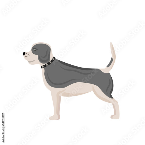 Dog with grey spots flat color vector character. Domestic animal in collar. Pet care salon. Veterinary and clinic. Puppy stand isolated cartoon illustration for web graphic design and animation