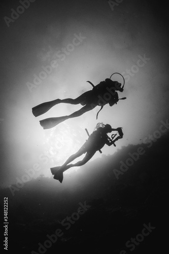Black and white silhouette of divers swimming in clear blue water around a coral reef