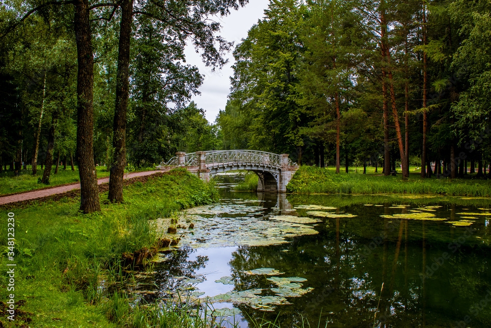 Fototapeta premium Summer landscape. A lake in the middle of a park. On the lake is a bridge. Trees are reflected in the lake.