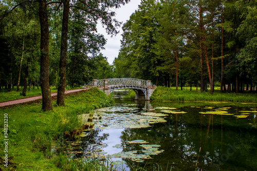 Summer landscape. A lake in the middle of a park. On the lake is a bridge. Trees are reflected in the lake.